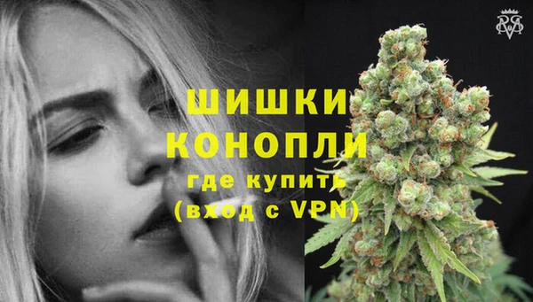 дурь Переславль-Залесский