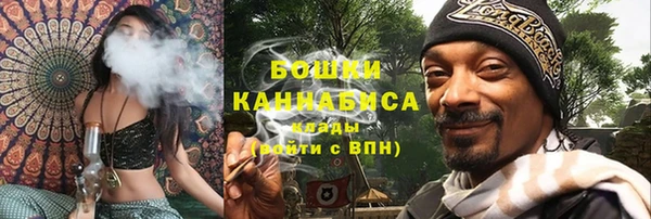 МДПВ Пестово