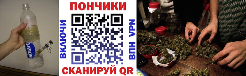 Шишки марихуана семена  закладки  Севастополь 